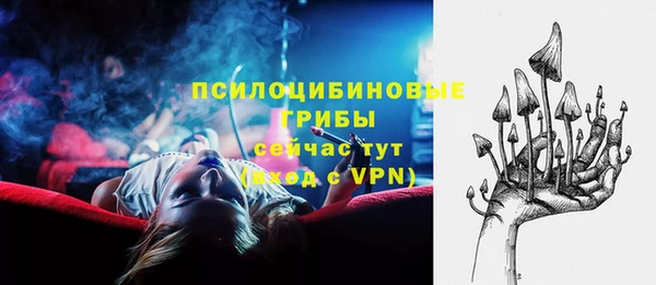соль ск Заволжье
