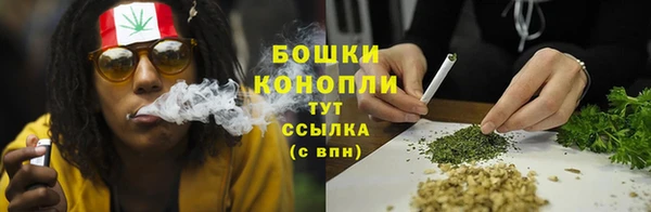 прущий лед Ельня