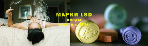 скорость Елизово