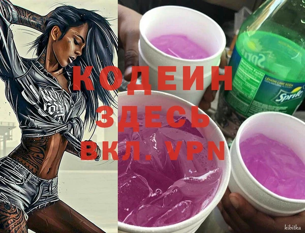 прущий лед Ельня