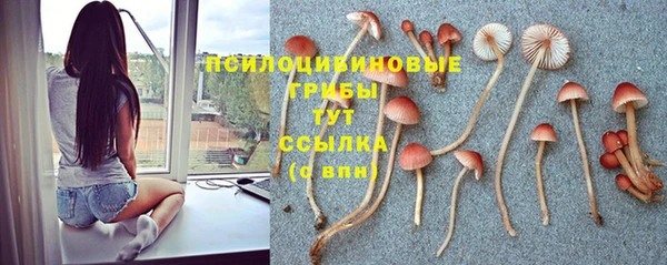 кокс Елабуга