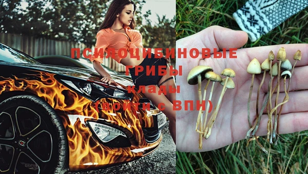 таблы Щучье