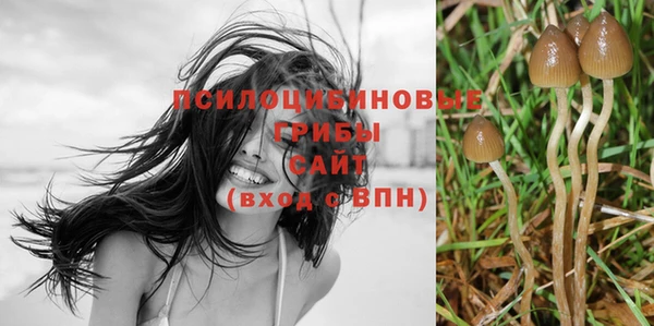 скорость Елизово