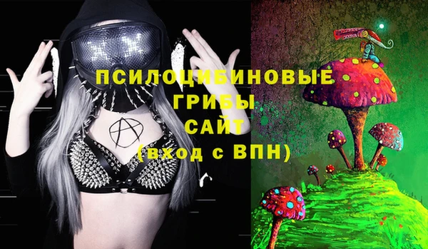 соль ск Заволжье