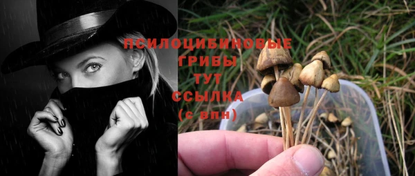 прущий лед Ельня