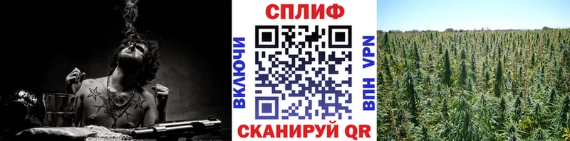 купить закладку  МЕГА ONION  Конопля THC 21%  Закаменск 